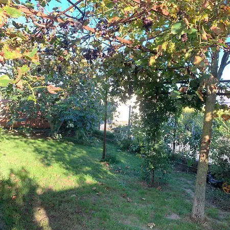 B&B D'hotes De Cecile Terranjou