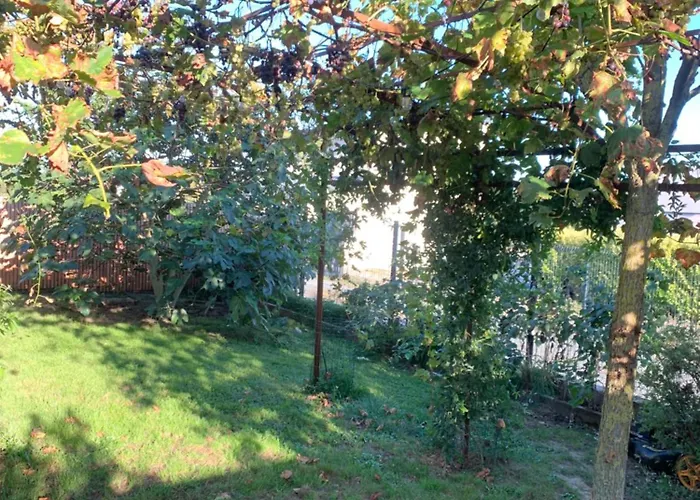 B&B D'hotes De Cecile Terranjou